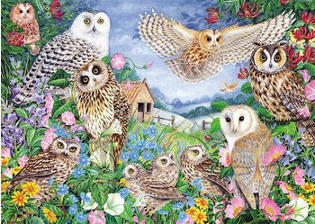Jumbo Falcon - Owls in the Wood - 1000 Teile (11286)