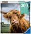 Ravensburger Highland Cattle (300 Teile)