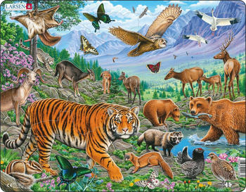 Larsen Der Amur-Tiger im sibirischen Sommer 36 Teile - FH39