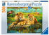 Ravensburger Löwen in der Savanne (500 Teile)