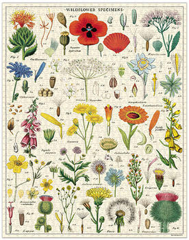 Cavallini Vintage Wildblumen Puzzle 55x70cm 1000 Teile