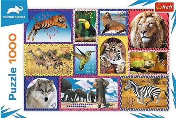 Trefl Puzzle Wilde Tiere 1000 Teile