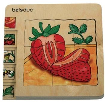 beleduc Lagen-Puzzle Entwicklung Erdbeere