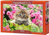 Castorland CAS 52974, Castorland Kitten in Flower Garden - Puzzle - 500 Teile