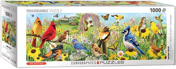 Eurographics Vögel im Garten Panorama Puzzle (1000 Teile)