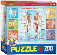 Eurographics 6200-1000 - Der menschliche K&ouml;rper Puzzle 200 Teile
