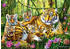 Trefl Die Tigerfamilie (500 Teile)