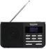 TechniSat Digitradio 210 IR