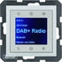 Berker Radio Touch mit Lautsprecher