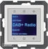 Berker Radio Touch mit Lautsprecher