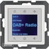Berker Radio Touch mit Lautsprecher
