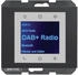 Berker Radio Touch