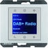 Berker Radio Touch