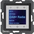 Berker Radio Touch mit Lautsprecher