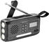 Sandberg Survivor DAB radio ALLin1 4500 (DAB+ FM Bluetooth) Radio Schwarz
