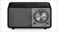 Sangean A500544, Sangean WR-7 Plus (FM, Bluetooth) (A500544) Braun
