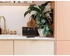 PURE Pure Classic H6 (DAB+ Bluetooth) Radio Braun