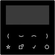 Jung DAB+ Display für Smart Radio DAB+ Serie AS/A schwarz (DABA-DISPSW)