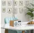Bennett & Ross DAB-258 NT Vikedal