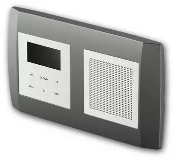 TEM LOGIQ UP-Radio mit Lautsprecher 2-fach BOLD anthrazit