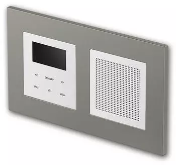 TEM LOGIQ UP-Radio mit Lautsprecher 2-fach FLAT titan