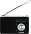 TechniSat DIGITRADIO 1A schwarz/weiß