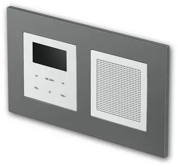 TEM LOGIQ UP-Radio mit Lautsprecher 2-fach FLAT anthrazit