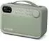 PURE Bloom tragbares DAB/FM-Radio mit Bluetooth, salbei (255786)
