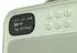 PURE Bloom tragbares DAB/FM-Radio mit Bluetooth, salbei (255786)