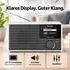 TechniSat Viola 305 IR Internetradio DAB+/FM Bluetooth 8W (0001/2953)