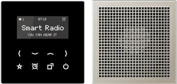 Albrecht Jung GmbH & Co. KG (Schalter & Thermostate) Jung Smart Radio DAB+ Bluetooth, Set Mono DAB CD1 BT WW
