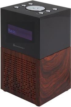 Soundmaster UR210 BR