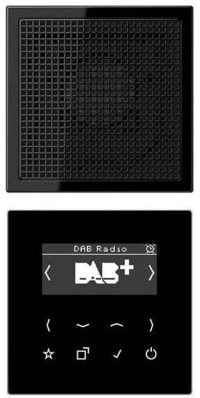 Jung Smart Radio DAB+, Set Mono DAB LS1 SW Schwarz