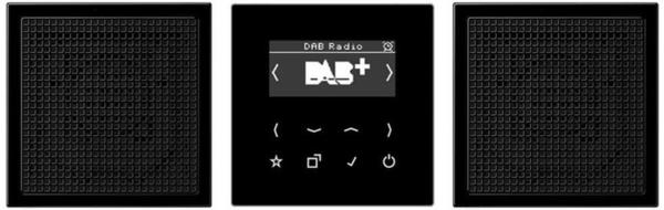 Jung Smart Radio DAB+, Set Stereo DAB LS2 SW