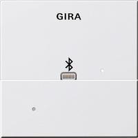 Gira 228727 Dockingstation für Apple Lightning System 55 Reinweiß matt