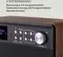 Auna Nestor DAB+ braun