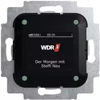 Busch-Jaeger 8215U-101, Busch-Jaeger 8215U-101 Busch-Radio DAB+ 2CKA008200A0275