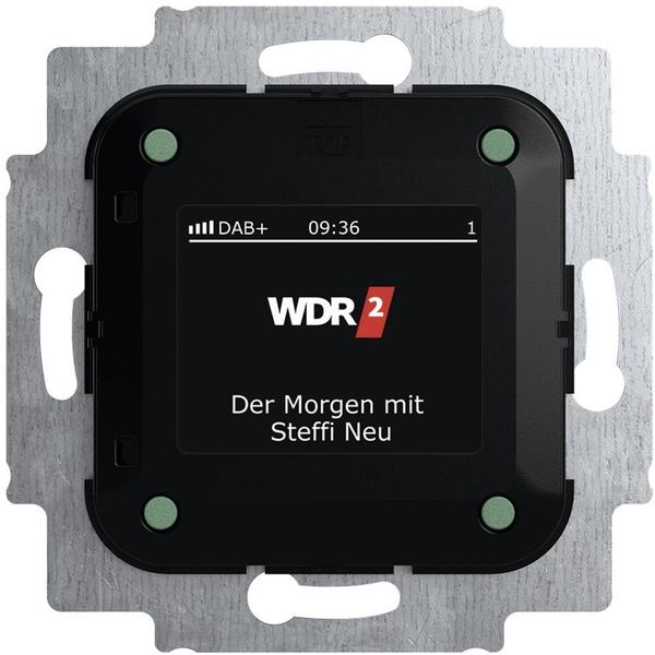 Busch-Jaeger Busch-Radio DAB+ 8215 U-101 (2CKA008200A0275)