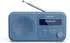 Sharp DR-P420