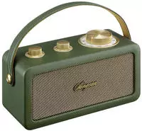 Sangean A500523, Sangean RA-101 Akku-Radio FM Bluetooth, AUX wiederaufladbar Gr&uuml;n,