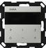 Gira UP-Radio IP System 55