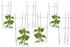 Relaxdays 6 x Rankhilfe Tomaten (10025343) grün