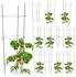 Relaxdays 12 x Rankhilfe Tomaten (10025344) grün