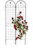 Relaxdays Rankgitter 2er Set 220 cm (10041670) schwarz