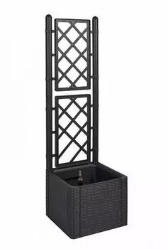 Kreher Rankgitter mit Pflanzkasten Rattan-Optik Kunststoff Anthrazit 43x43x142cm