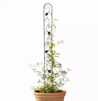 DanDiBo Rankhilfe Schwarz Metall 11.5x146x1.5 cm