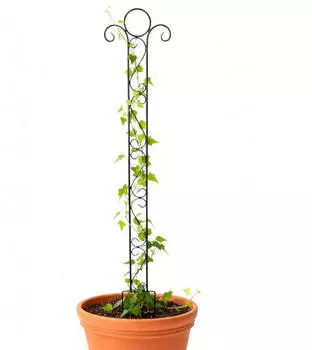 DanDiBo Rankhilfe Schwarz Metall 26x135x1.5 cm