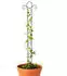 DanDiBo Rankhilfe Schwarz Metall 26x135x1.5 cm