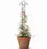 DanDiBo Rankhilfe Schwarz Metall 26x135x1.5 cm