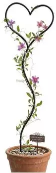 DanDiBo Rankhilfe Schwarz Metall 38x147x1.5 cm